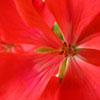 Maria K.'s profile image