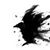Dianne Daunt's profile image