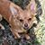 Tammy Hall Lawhorn's profile image