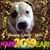 Mark Hayden's profile image