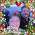 Lynn Mcclay's profile image