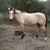 Norma Ousley's profile image