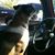Tammy Whipple Manes's profile image
