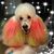 Jenny Head's profile image