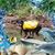 Cheryl Hawkins Knudsen's profile image