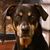 Jennifer Allen's profile image