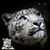Kaye Wagner's profile image