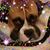 Debra Thomas-Trimble's profile image