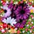 Neysa Macy's profile image