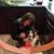 Rosemary Gutierrez's profile image