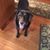 Kimberly Kisco Booker's profile image