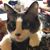 Kay Brimer's profile image