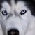 Anne Derr Pooley's profile image