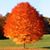Beth Knutson's profile image