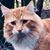 Carmen Dawson's profile image