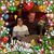 Marcy Kaplan Smith's profile image