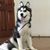 Jody Mitsch's profile image