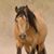 Wanda Bruner's profile image