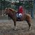 Cathy Leinert Whitehead's profile image