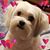 Amy Jo Erb's profile image