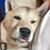 Lindy Halleran's profile image