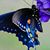Patricia Diaz's profile image