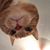 Steve Seng's profile image