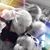 Anne Everhart Bromley's profile image