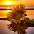 Rhonda Lea Robertson's profile image