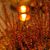 Sandra King Abernathy's profile image