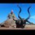 Dawn Foster-Dulaney's profile image