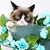 Adam Gresham's profile image