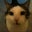 Lauraleigh Cairns's profile image