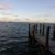 Carmenza Rivas's profile image