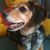 Ted LeBlond's profile image