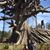 Jacki Hawley Cobb's profile image