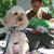 Joyce Bristow's profile image