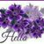 Karen Elizabeth Mann's profile image