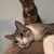 Jamie Kaminski-Collado's profile image