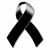 Luz Diaz's profile image