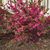 Carol Mosher Barnum's profile image