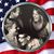 Traci Allen Walker's profile image