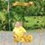 Cheryl Clackett Hillis's profile image