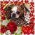 Rosemary Carpenter's profile image