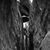 Robert Ostler's profile image