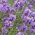 Michelle Huff Kunka's profile image