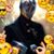 Ray Alexander's profile image