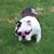 Tessie VanderMate's profile image