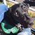 Camie Norton Nielsen's profile image