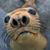 Branden Seal's profile image